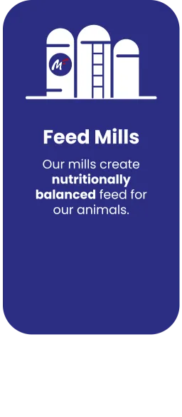 Feed mills