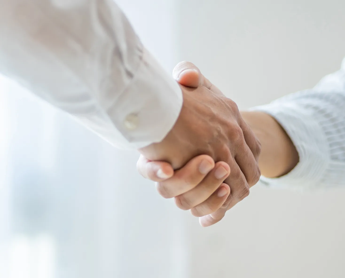 Group of chicks around feeders