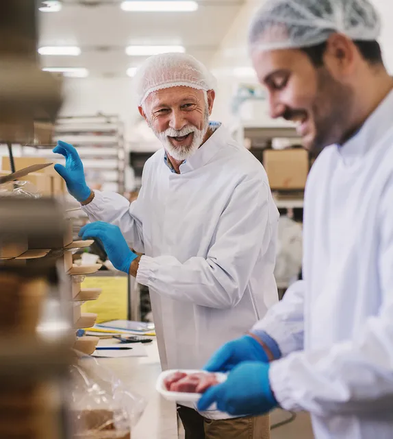Free range pigs on a farm