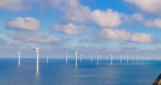 Environmental Stewardship